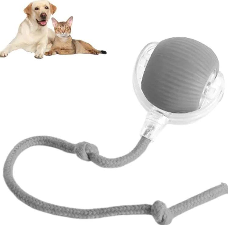 Pelota automática para perros y gatos | CorreCola – Juguete interactivo