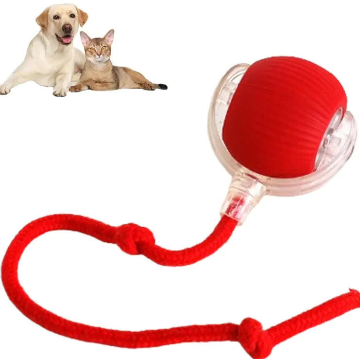Pelota automática para perros y gatos | CorreCola – Juguete interactivo