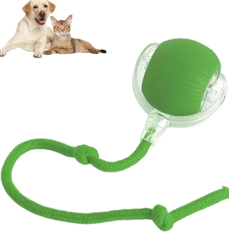 Pelota automática para perros y gatos | CorreCola – Juguete interactivo