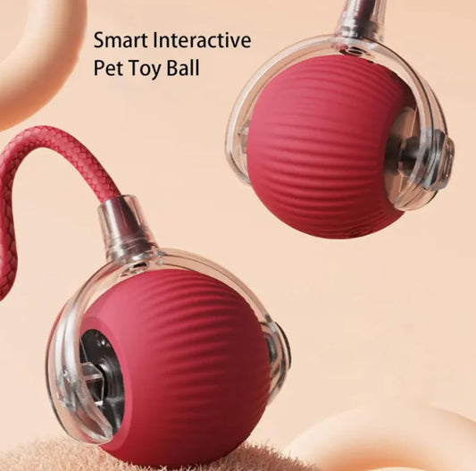 Pelota automática para perros y gatos | CorreCola – Juguete interactivo
