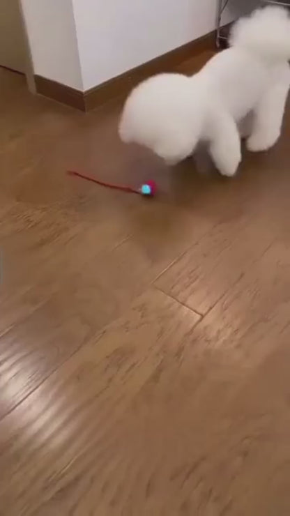 Pelota automática para perros y gatos | CorreCola – Juguete interactivo